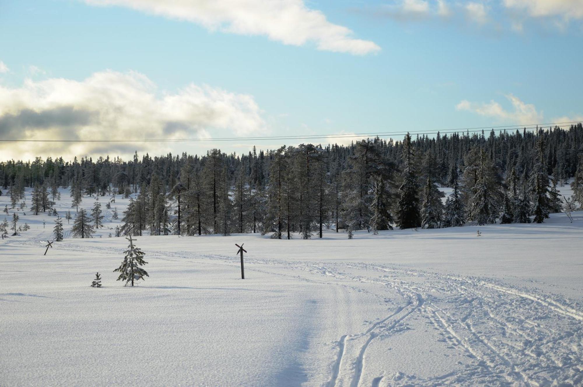 Hytte Anno 1721 Uten Internett, Strom, Vann - Men Med Rodmalt Utedo Ljordal Экстерьер фото