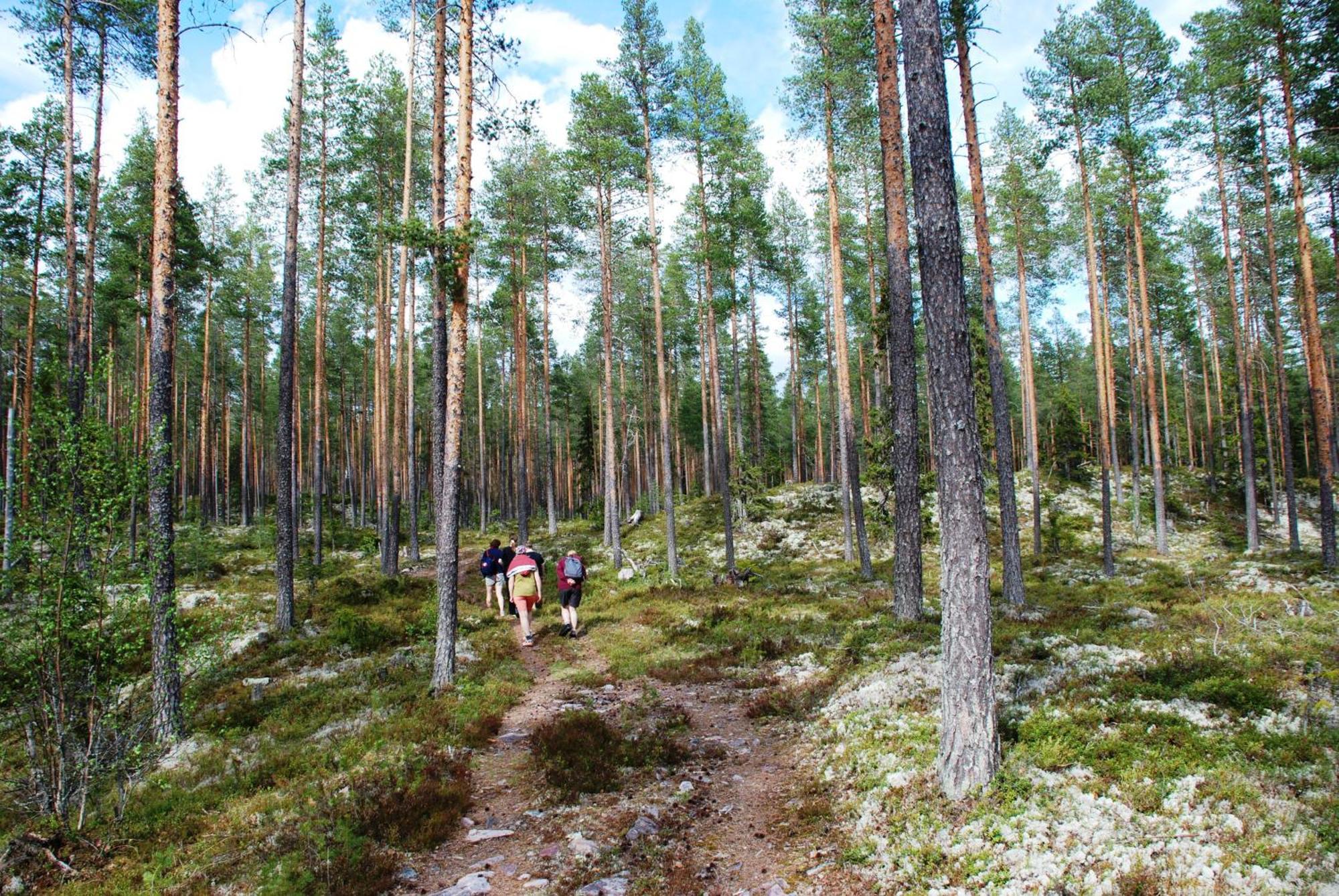 Hytte Anno 1721 Uten Internett, Strom, Vann - Men Med Rodmalt Utedo Ljordal Экстерьер фото