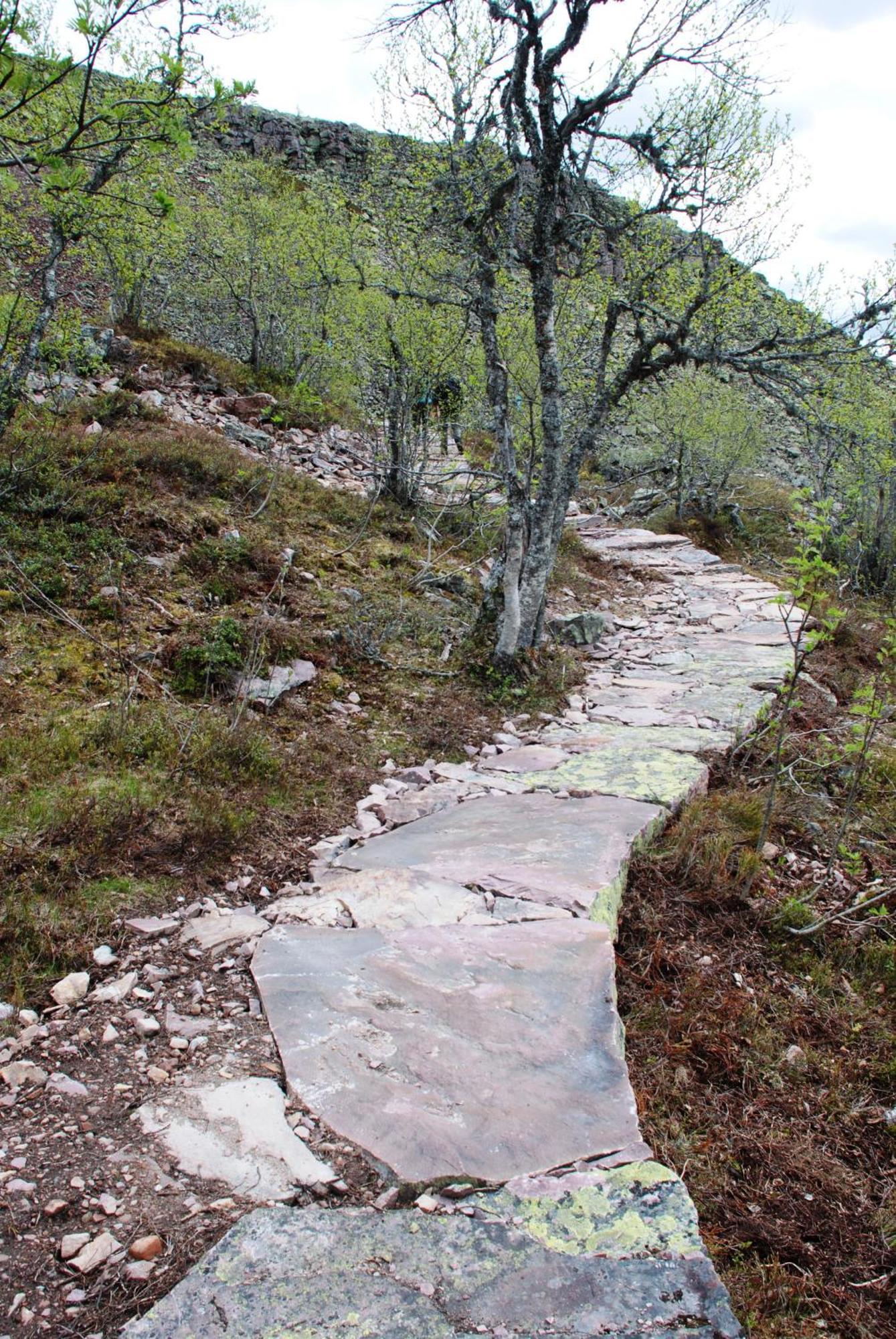Hytte Anno 1721 Uten Internett, Strom, Vann - Men Med Rodmalt Utedo Ljordal Экстерьер фото