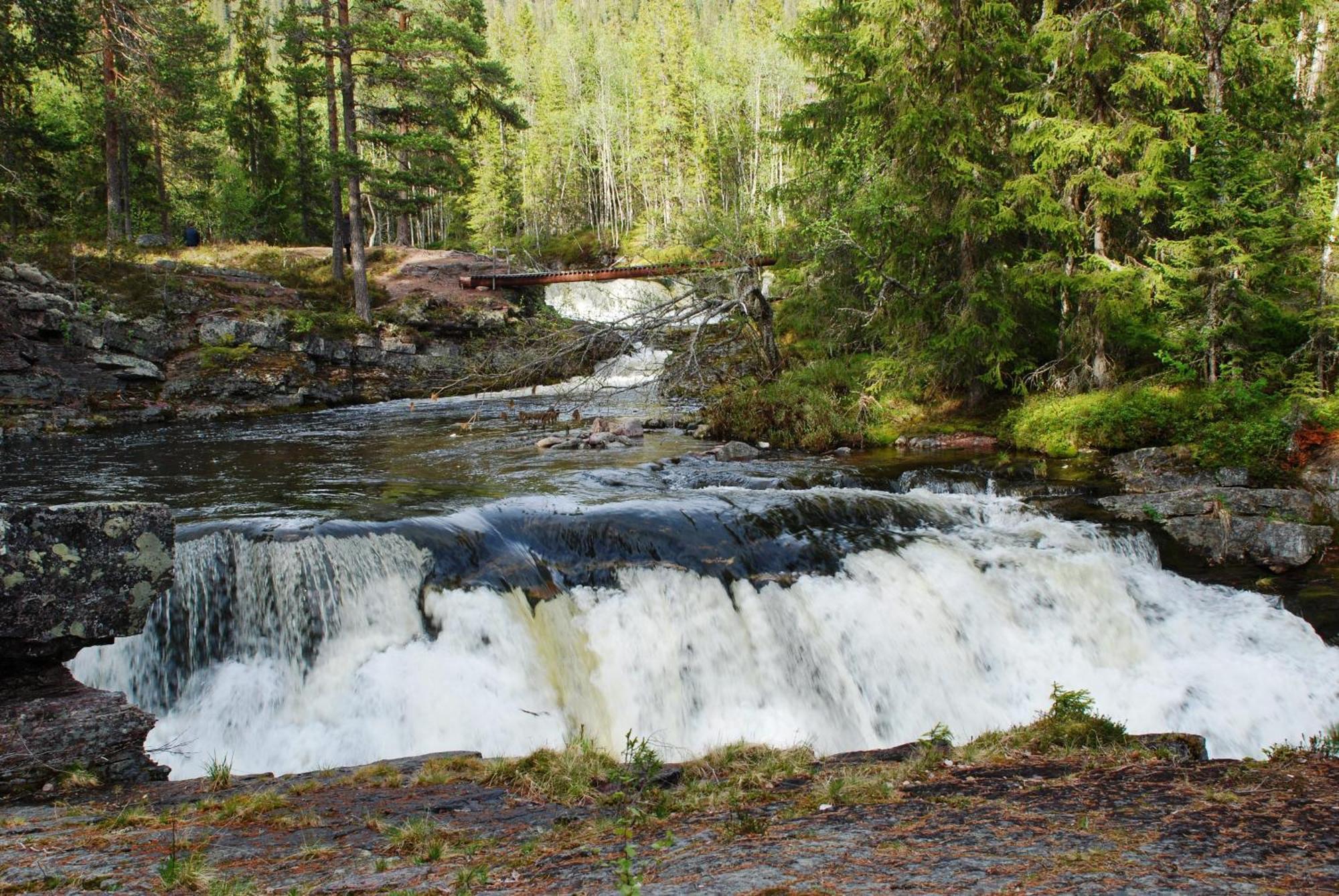 Hytte Anno 1721 Uten Internett, Strom, Vann - Men Med Rodmalt Utedo Ljordal Экстерьер фото